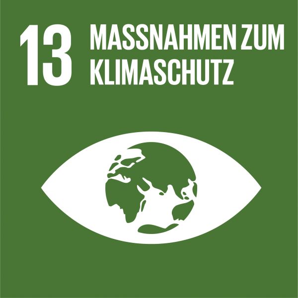 Icon 13 HG