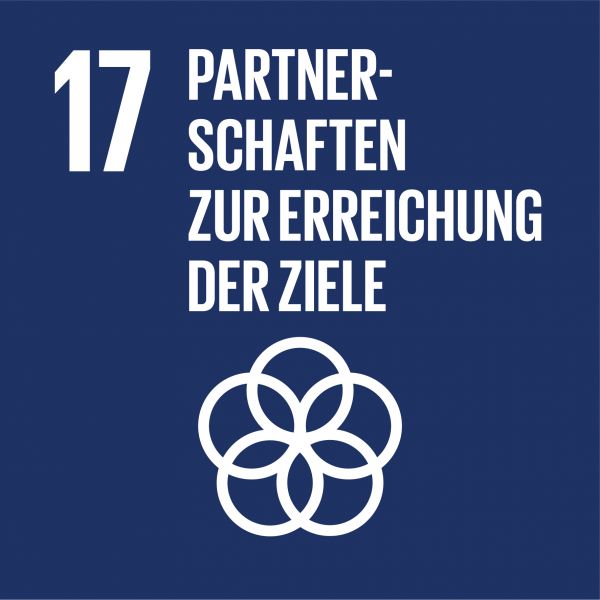 Icon 17 HG